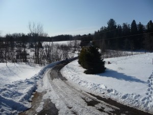Mathew driving to cut firewood for maple syrup production