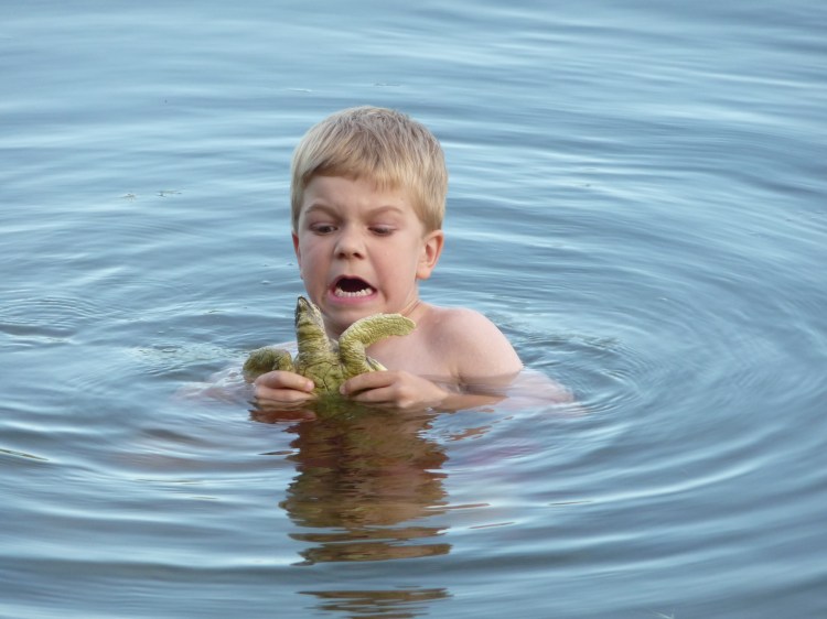 It's a deadly sea turtle!