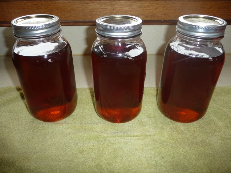 Our first batch of Pure Maple Syrup.