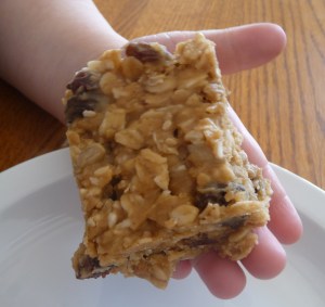 Granola Bar