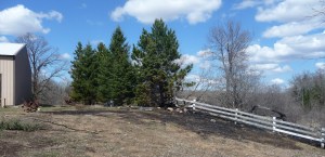 The fire was started well behind the barn and spread up this far.